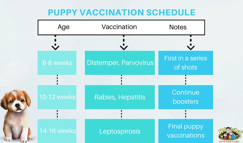 Puppy vaccination schedule chart for dogs in India
