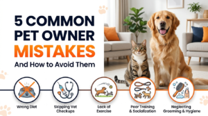 5 common pet owner mistakes to avoid for better pet health and care