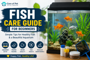 Fish Care